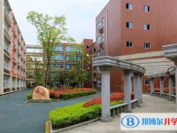 2025綿陽市實(shí)驗(yàn)中學(xué)招生計(jì)劃 招生人數(shù)是多少(附要求、條件、對(duì)象)