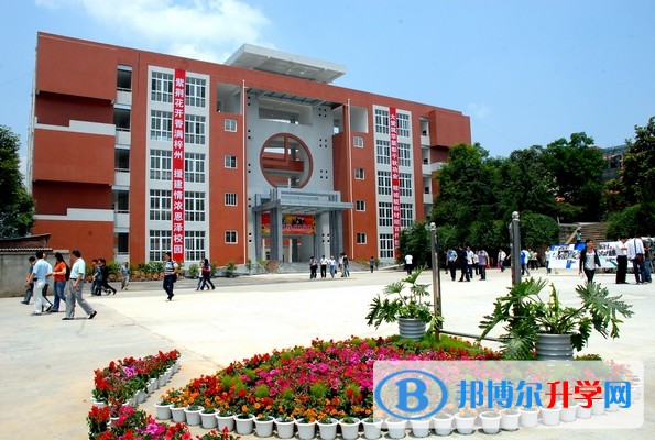 2025四川省三臺第一中學招生計劃 招生人數(shù)是多少(附要求、條件、對象)
