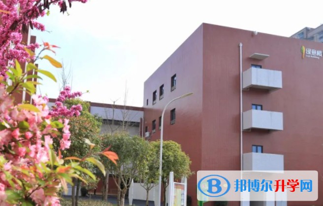 2025綿陽市豐谷中學(xué)招生計劃 招生人數(shù)是多少(附要求、條件、對象)
