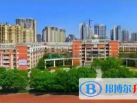 2025安州中學(xué)招生計劃 招生人數(shù)是多少(附要求、條件、對象)