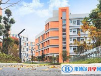 2025綿陽市育英高級中學(xué)招生計劃 招生人數(shù)是多少(附要求、條件、對象)