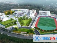 蒼溪縣歧坪中學(xué)地址，乘車(chē)路線