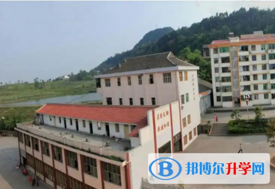 2025四川省蒼溪縣文昌中學(xué)招生計(jì)劃 招生人數(shù)是多少(附要求、條件、對(duì)象)