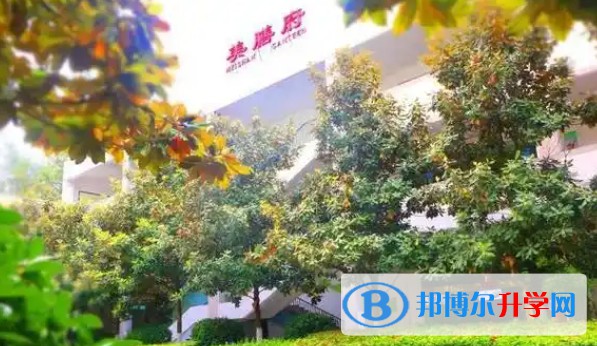 廣元外國(guó)語(yǔ)學(xué)校招生簡(jiǎn)章2025年