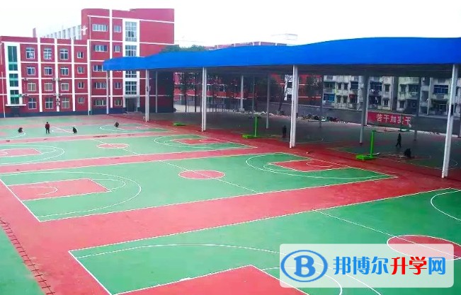 2025旺蒼縣東城中學(xué)招生計(jì)劃 招生人數(shù)是多少(附要求、條件、對(duì)象)